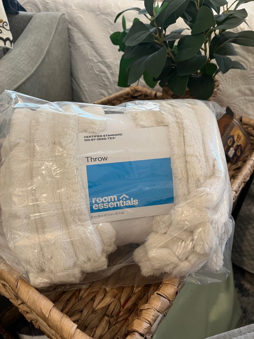 Room Essentials Ivory Plush Throw Blanket